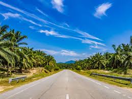 Ditemui hasil pemetaan paleoalam tapak kota tampan yang mendedahkan semua lokasi yang mempunyai lapisan kelikir sungai enapan sungai perak. Discover Lenggong Valley Daytrip