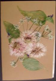 Pravimo se da je naručivanje online cvetova lako. Presovano Cvece