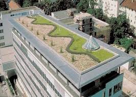 Das architektenhaus vivaro überzuegt als stilvolle stadtvilla mit anbau, der als einliegerwohnung oder für das mehrgenerationenwohnen. Geno Haus Green Roof In Germany Powerhouse Growers Powerhouse Growers Www Powerhousegrowers Com Green Roof Green Roof Project Green Roof House