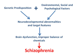 file schizophrenia flowchart jpg wikimedia commons