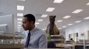 Record 101 million voted early. Hump Humpday Camel Gif On Gifer By Goltisar