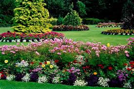Image result for  landscaping