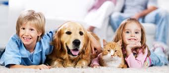 Above all, we want you to be treated with dignity and respect as we guide you through the process of saying goodbye in the comfort of home or yard. Home