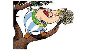 Brindille on Twitter: 