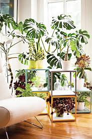 Ver más ideas sobre plantas, decoracion plantas, decoración de unas. 17 Ideas Para Decorar Tu Sala De Estar Con Plantas En Esta Primavera