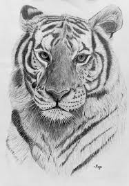 Here is the second cartoon animal lesson that i was telling you i was going to submit. Artwork Art Realisticdrawings Blackandwhiteart Blackandwhite Realistic Drawing Pe Animal Drawings Sketches Tiger Art Drawing Pencil Drawings Of Animals