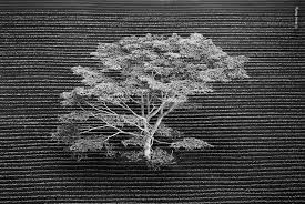 Wildlife Photographer Of The Year Lumix People S Choice Award Wildlife Photographer Of The Year People S Choice Award In Pictures Nature Photography Insect Photography Natural History