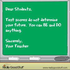 Great Quote About The Stupid Testing Students Have To Take Teaching Quotes Teacher Humor Dear Students