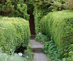 Zuvor kommt jedoch erst einmal die arbeit. Mehr Ruhe Mehr Lebensqualitat Larmschutz Fur Den Garten Libellius