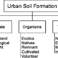 The major factors that affect soil formation are the climate under which it forms; The Five State Factors Of Soil Formation Originally Proposed By Jenny Download Scientific Diagram