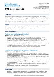 Seeking a position in financial analysis/management where excellent analytical and technical skills. National Account Manager Resume Samples Qwikresume