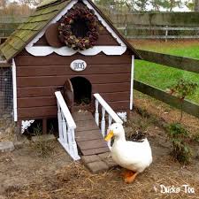 These ducks build nests in abandoned woodpecker holes or natural tree cavities caused by disease, fire or lightning. Gingerbread Duck House Plans Pdf Room In Coop For Up To 6 Etsy