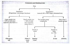 Pin On Biostatistics