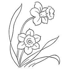 Top 47 Free Printable Flowers Coloring Pages Online