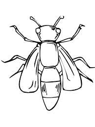 Fly coloring pages are a fun way for kids of all ages to develop creativity focus motor skills and color recognition. House Fly Coloring Page Free Coloring Library