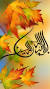 Islamic Images 3d