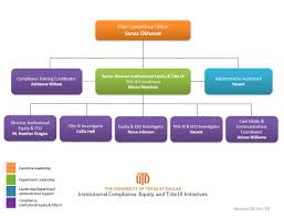 Organizational Chart Institutional Compliance Equity And