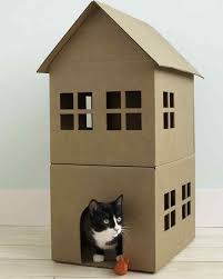1001 Ideen Wie Sie Katzenspielzeug Selber Machen Katzen Spielhaus Katzen Spielzeug Katzen Haus