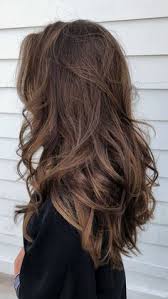 Check spelling or type a new query. Brunette Hair Color