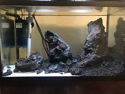 Gravel,wood, sand, rock, and several decorative items are essential hardscape materials for an optimal aquascape layout. Aquascape Ideas Aquascape Rocks