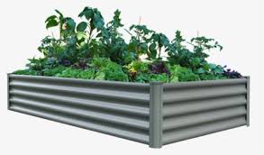 Flower Bed Clipart Image Free Download Flowers By Roula33 Hyacinth Flower Transparent Background Hd Png Download Transparent Png Image Pngitem