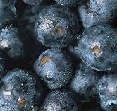 Blueberry Processing & Sorting Equipment | Key Technology
