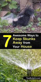 Do mothballs / ammonia repel skunks? 7 Awesome Ways To Keep Skunks Away From Your House