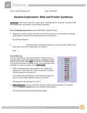 Synthesis gizmo answer key rna and protein. Gizmo Rna Docx Name Hernam Martinez P 8 Date Student Exploration Rna And Protein Synthesis Vocabulary Amino Acid Anticodon Codon Gene Messenger Rna Course Hero