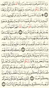 سورة الكهف الجزء الخامس عشر الصفحة 295 quran verses math verses