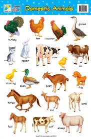 indian wild animals pictures with names pdf