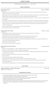 Motivation and productivity go hand in hand. Sales Team Leader Resume Sample Mintresume