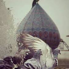 مسجد جمكران المعظم Islamic Pictures Islamic Wallpaper Islamic World