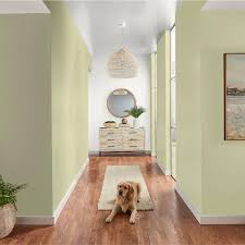 Antibacterial Interior Paint Primer