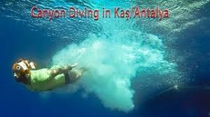 Scuba Diving At Quill Lake Roblox