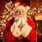 11th Annual Spirit of Christmas Festival event image