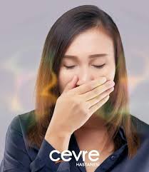 Koku ve Tat Alma Arasında Nasıl Bir İlişki Vardır?