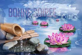 Bonne soire, et  demain, les ami(e)s - amthyste