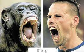 Luka modric armó una gran jugada y cuando solo faltaba el remate para el empate, envió el balón fuera del arco del villarreal. Zwillinge Die Beste B Elf Dieser Europameisterschaft Kolner Stadt Anzeiger