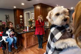 Animal rescues of michigan | we help michigan animal orgs help themselves. Animal Rescue Regulation Is Subject Of Proposed Michigan Law