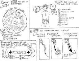 Text within images is not translated, some. Pin On Biology And Other Sciences
