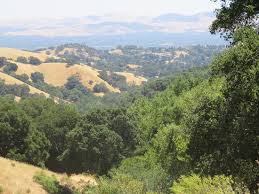 We did not find results for: Briones Regional Park Picture Of Briones Park Orinda Tripadvisor