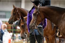 2025 UABHA Larry Weight Summer Classic, USU Bastian Agricultural Center,  South Jordan, 31 July to 2 August