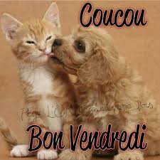 Résultat de recherche d'images pour "bon vendredi les amis"