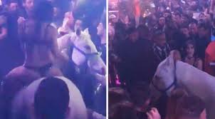 Most close at 5 am. Miami Beach Nightclub Set To Reopen After Costly Horse Stunt Pet Rescue Report