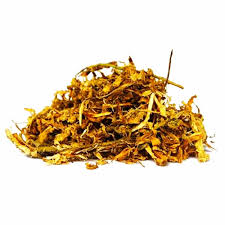 Image result for Tabernaemontana inconspicua