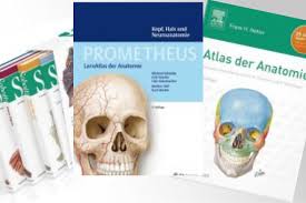Anatomie für osteopathen lehrbuch und atlas von magga corts | orell füssli: Die Besten Anatomiebucher Und Atlanten Zur Osteopathie Ausbildung