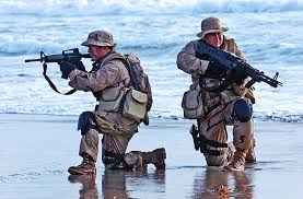 This special force unit is renowned for its marksmanship. Best Special Forces In World Top 10 Commando Forces Of 2020