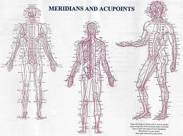 Meridians In Traditional Chinese Medicine Amc Miami Florida