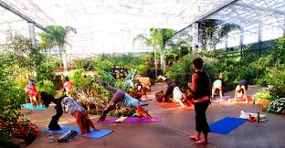 Maybe you would like to learn more about one of these? Yoga In The Rainforest