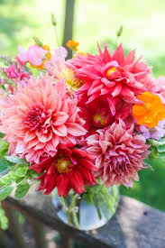 September Dahlias In 2020 Dahlia Flower Beautiful Bouquet Of Flowers Beautiful Flowers